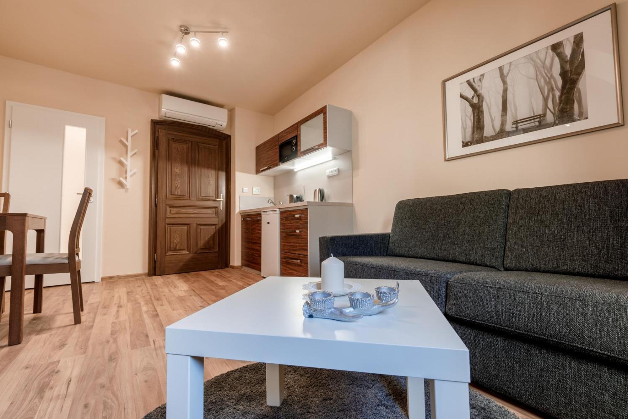 Apartments Menuet Karlovy Vary Ruang foto